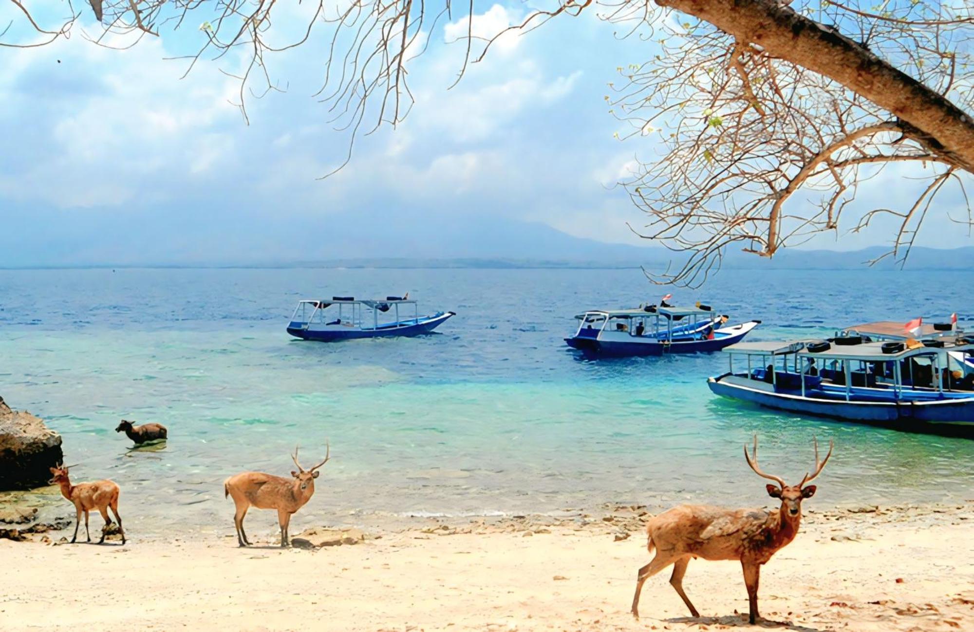 เทวันธารา บูทิก วิลลา รีสอร์ต Hotel Umeanyar ภายนอก รูปภาพ